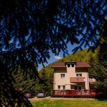 Cabana Zip Zărneşti 외부 사진