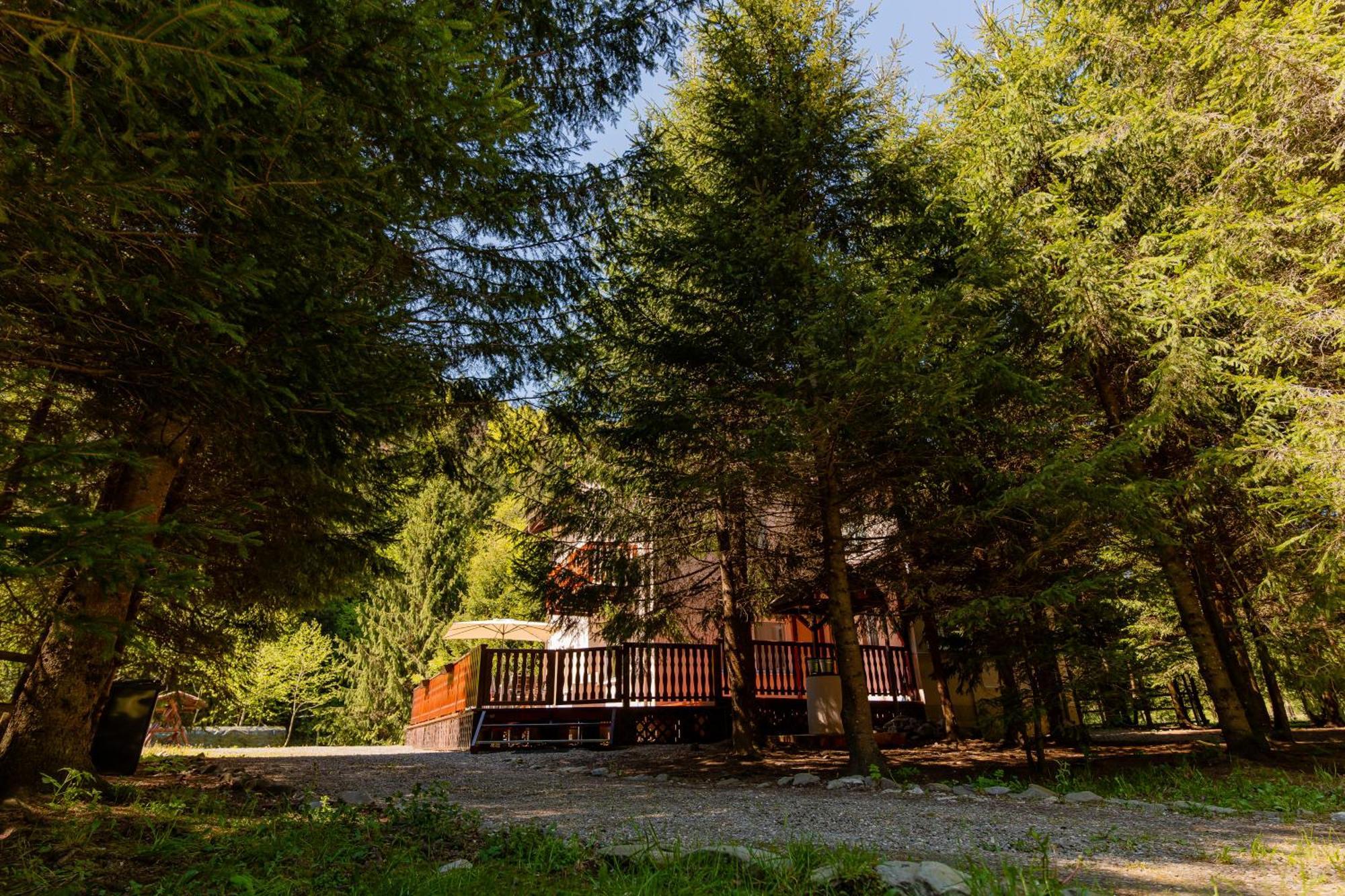 Cabana Zip Zărneşti 외부 사진
